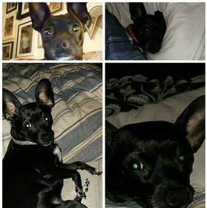 Meet your Posher, Roshelle